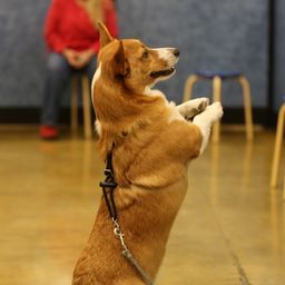 photograph by PeterW